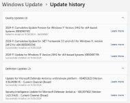 Only this update can uninstall. other one 2024-11 Cumulative Update Preview for Windows 11 Version 24H2 for x64-based Systems (KB5046740) can not able to uninstall.